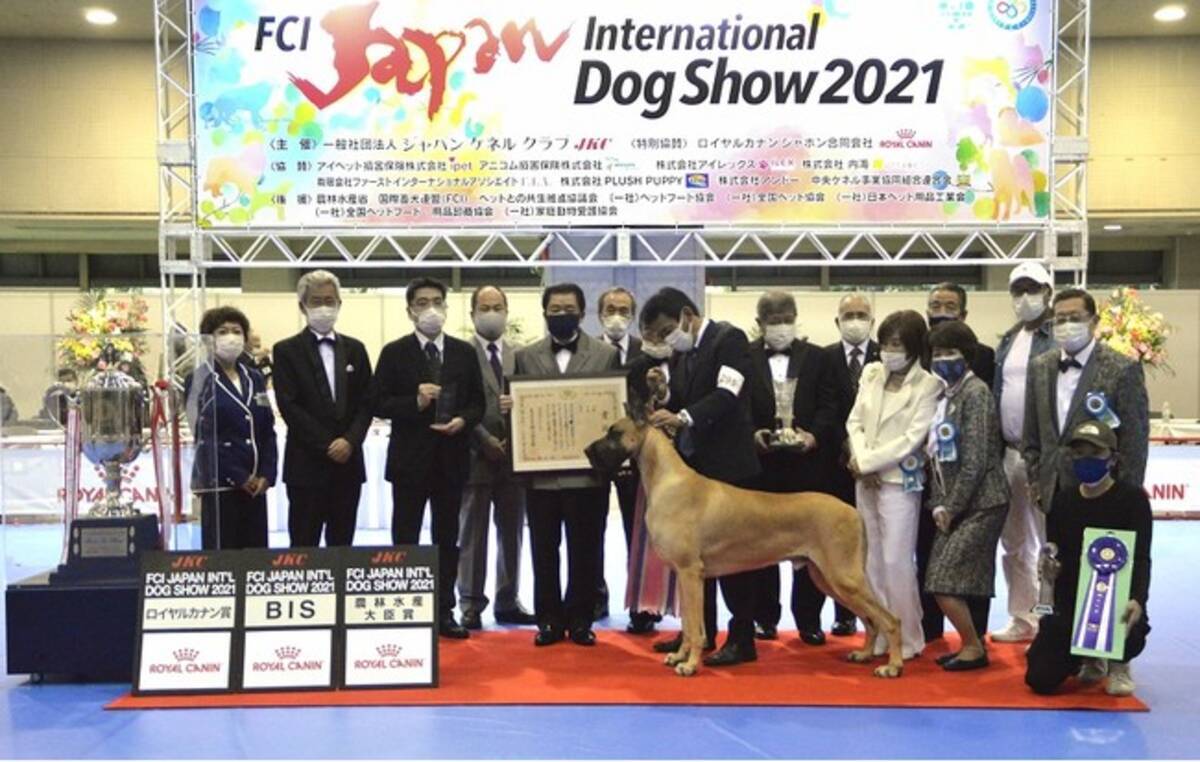 ロイヤルカナン ジャポン特別協賛 日本最大規模のドッグショー Fci ジャパンインターナショナルドッグショー21 開催レポート 21年4月27日 エキサイトニュース
