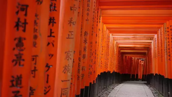 バーチャルガイドツアー、JAPONISME（ジャポニスム）に京都を旅する〈Virtual Tour Japan -Kyoto-〉が登場