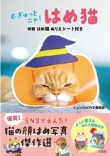 【新刊情報】猫が顔だし看板で大変身！「はめ猫」写真集が発売