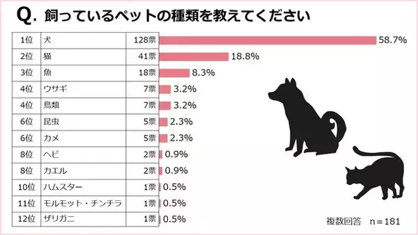 【ペットを飼っている医師181人に聞いた】ペット特集アンケート／ペットとの暮らしから得られたこと、ペットを迎える際の注意すべきことなど本音を大公開！