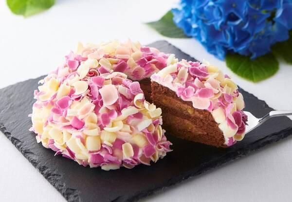 初夏を彩る 鎌倉の新しい手土産 あじさいモチーフのケーキ てまり花 新発売 21年5月28日 エキサイトニュース