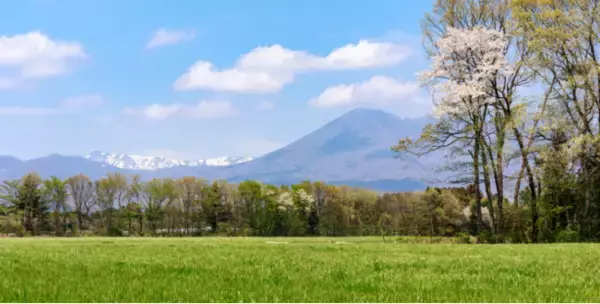 栃木の保険代理店 ほけんプロジェ がアスエネの再エネ100%電力調達開始保険代理店で初の再エネ100宣言 REAction加盟へ