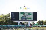 「岐阜メモリアルセンター長良川競技場でＦＣ岐阜 長良川クリーンアクションを開催！」の画像1