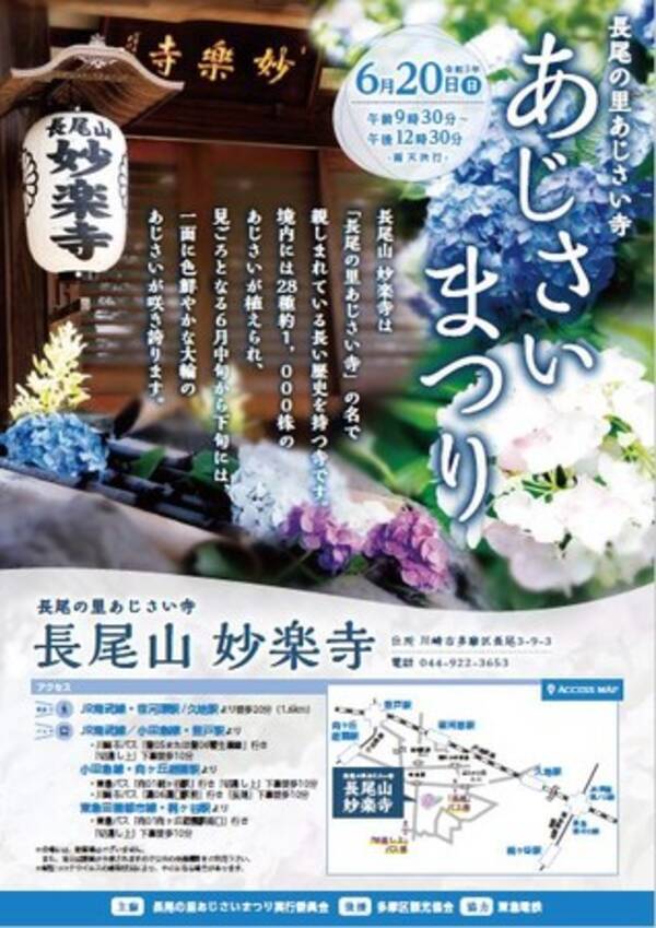都心の眺望を背景に28種類約1 000株の紫陽花が咲き誇る川崎市随一の名所 長尾山 妙楽寺 父の日に 長尾の里あじさい寺 あじさいまつり 開催 21年6月10日 エキサイトニュース
