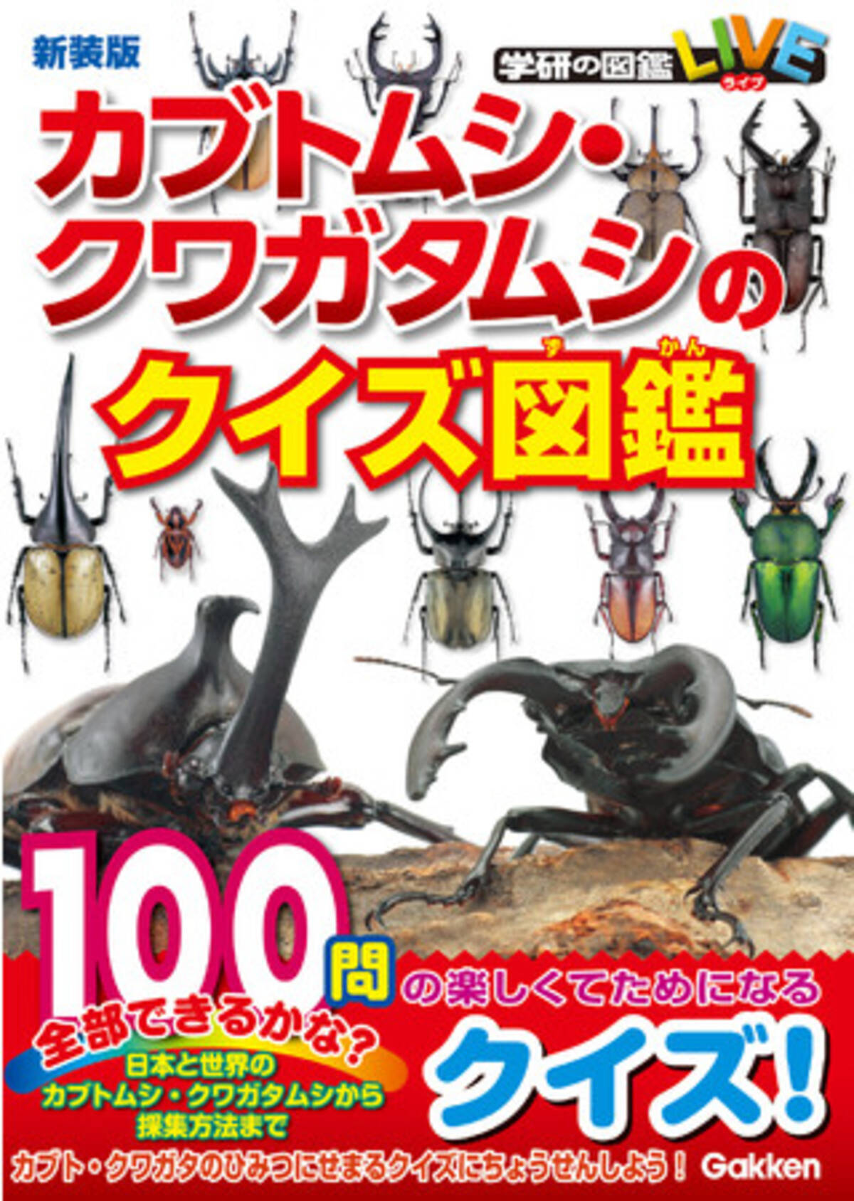 カブトムシとクワガタムシの生態から捕り方や飼い方 日本だけでなく世界にいるカブト クワガタを学べるミニ図鑑 楽しいクイズがたっぷり１００問入った カブトムシ クワガタムシのクイズ図鑑 新装版 発売 21年6月14日 エキサイトニュース