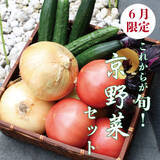 「【6月限定販売】京都の旬を食卓に！産地直送の京野菜セット」の画像1