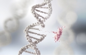 メルク、日本で新たなCRISPRゲノム編集技術の特許を取得
