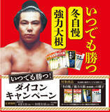 「【サカタのタネ×千代の富士】いつでも勝つ！ ダイコンキャンペーン実施」の画像1