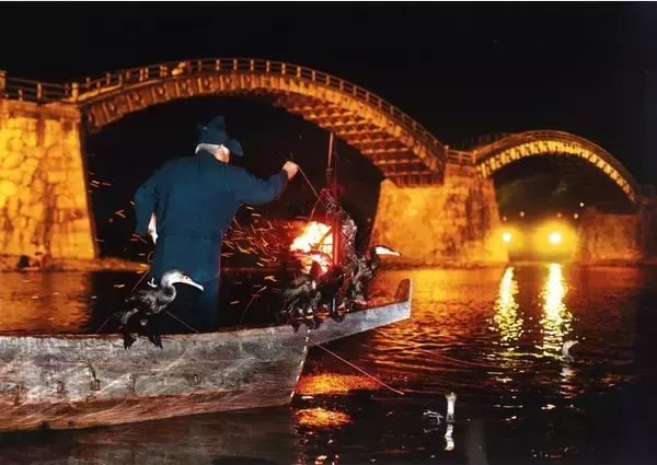 夏の風物詩！山口県「錦帯橋のう飼」、7月1日から開催