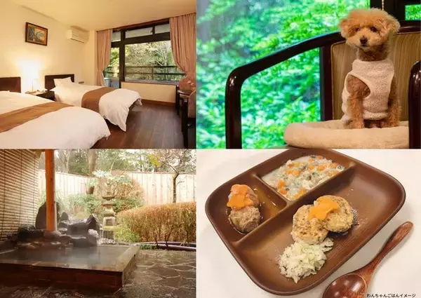 【愛犬が主役の夏旅♪】いつもの食事をランクアップ！「わんちゃんグルメプラン」を販売開始！