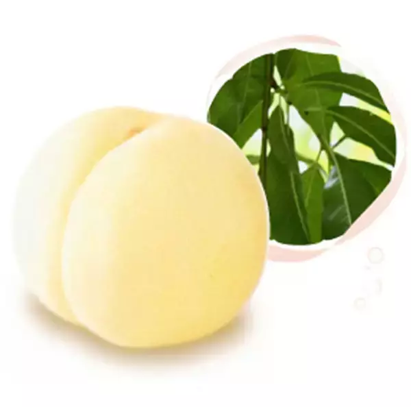 イオンスタイル岡山「県産の白桃」消費拡大フェア