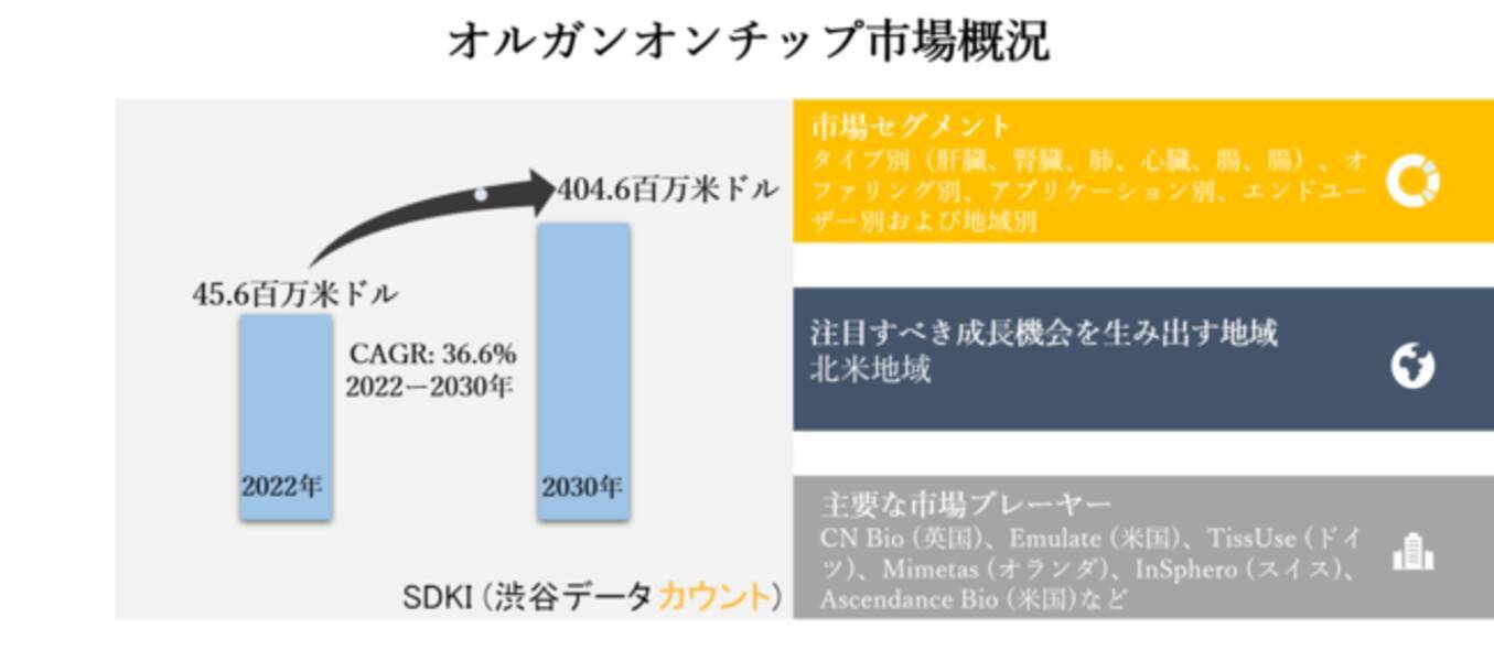 オルガンオンチップ市場ータイプ別 肝臓 腎臓 肺 心臓 腸 腸 オファリング別 アプリケーション別 エンドユーザー別および地域別ー世界的な予測30年 21年7月23日 エキサイトニュース 2 4