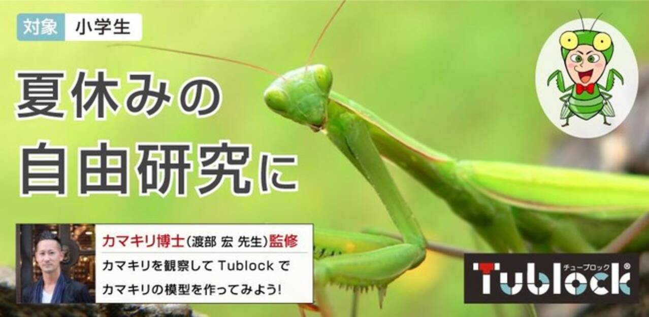 あのカマキリ博士が東京都心でカマキリの生態に触れる教室を開催 夏休みの自由研究は チューブロック とカマキリ博士にお任せください 21年7月26日 エキサイトニュース