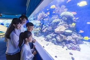 ホテルメトロポリタン 鎌倉 新江ノ島水族館チケット付宿泊プラン 販売開始 年7月14日 エキサイトニュース