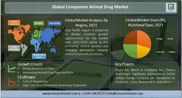 コンパニオンアニマルドラッグ市場ー動物の種類別（犬、猫、馬、その他の動物）；薬物別;投与経路（経口、非経口、その他）;および販売チャネル別-世界の需要分析および機会の見通し2021-2029年