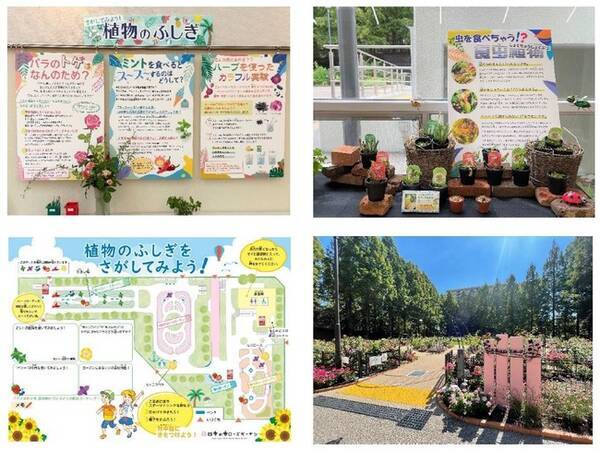 練馬区立 四季の香ローズガーデン にて さがしてみよう 植物のふしぎ パネル展示と 園内での植物さがしを開催 植物の秘密を学び 間近で観察 夏休みの自由研究のヒントにも 21年8月11日 エキサイトニュース