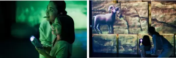 『ZUKAN MUSEUM GINZA powered by 小学館の図鑑NEO』まだ間に合う！夏休みの自由研究にぴったりなワークショップを8月20日（金）に開催！