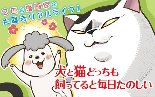 累計発行部数100万部突破 アニメ化もされた話題の犬猫マンガと我が家のペットがコラボ 犬と猫どっち も飼ってると毎日たのしい 広告ポスターの制作が決定 Twitterにてペットの写真を大募集 21年8月日 エキサイトニュース