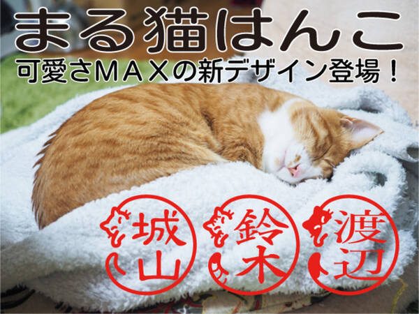 日本初の 丸まって寝る猫の姿が印鑑の外枠になった まる猫はんこ 更に猫らしく可愛さを増した新デザインを8月23日に追加発売 Www Inkan Name Maru 21年8月23日 エキサイトニュース