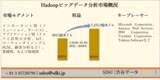 「Hadoopビッグデータ分析市場ーコンポーネント別（ソリューション、サービス）、アプリケーション別（リスクと詐欺の分析、IoT、など）、業種別、および地域別ー世界的な予測2030年」の画像1