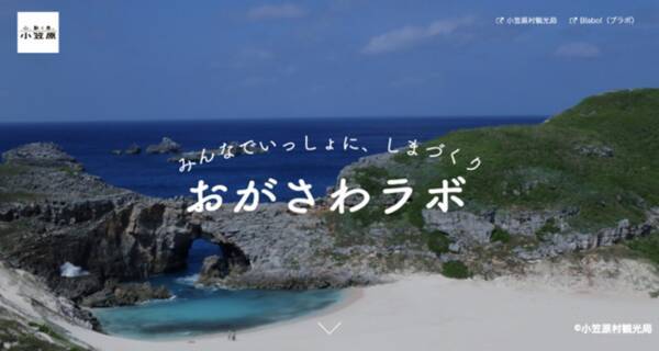 Cccマーケティング 小笠原村観光局 共育プロジェクト おがさわラボ 小笠原村の 村内コロナウイルス一掃期間 を伝えるキャッチコピー募集 定期船に掲出 21年8月27日 エキサイトニュース