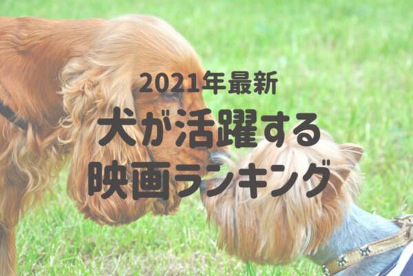 感動ものからコメディまで 犬が活躍する映画ランキング 第一位は不朽の名作 南極物語 21年8月31日 エキサイトニュース