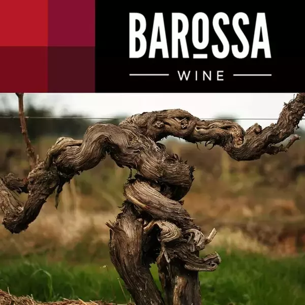 South Australia Wine Grand Tasting and Barossa Wine School Launch 2021