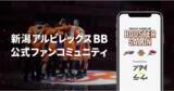 「新潟アルビレックスBBがコミュニティアプリ「ブースターサロン」をブタイウラにて導入決定！」の画像1