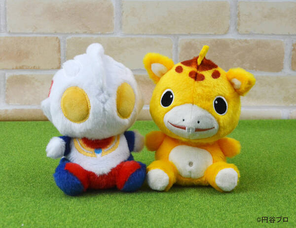 コロンとしたフォルムが可愛いウルトラマンティガと快獣ブースカの手のひらサイズのぬいぐるみが21年9月中旬より発売 21年9月14日 エキサイトニュース