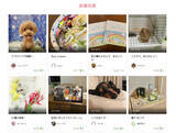 「ペットロス経験者が集うSNS型コミュニティーサイト「Forever family」をリリース」の画像1