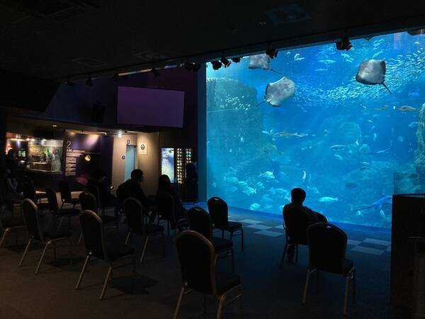 Jaf神奈川 ｊａｆフェスティバル関東 In 新江ノ島水族館 開催 21年9月17日 エキサイトニュース