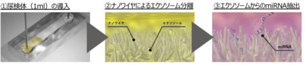 Craif 第80回 日本癌学会学術総会で卵巣がん早期発見バイオマーカーとしての尿中mirnaに関する研究成果を発表 2021年10月1日 エキサイトニュース