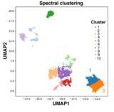「花粉症の多様な症状を層別化する手法を開発」の画像1
