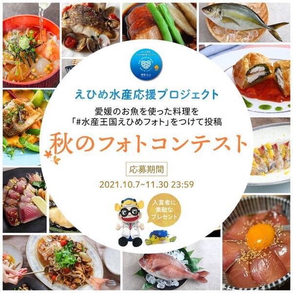 お魚を美味しく食べられる調理器具 さかなクングッズなどが当たる えひめ水産応援プロジェクト 愛媛のお魚料理フォトコンテスト 秋のお料理 冬のお料理 を開催 2021年10月7日 エキサイトニュース