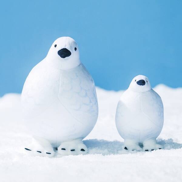 なかなかお目にかかれない 本物と同じサイズ もっちりライチョウクッション と とことこライチョウポーチ が フェリシモ You More から誕生 21年10月22日 エキサイトニュース なかなかお目にかかれない 本物と同じサイズ もっちりライチョウクッション と とことこライチョウポーチ が フェリシモ You More から誕生 21年10月22日 エキサイトニュース