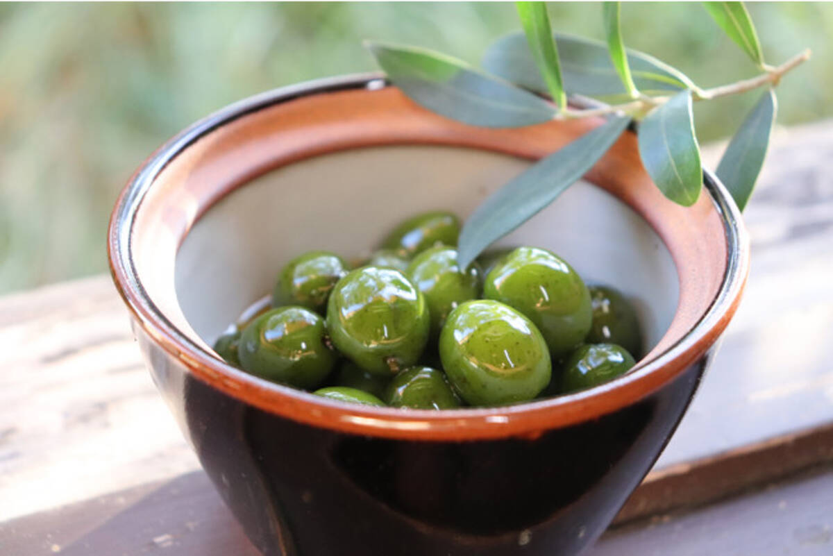10袋数量限定 国産早摘みオリーブの塩漬 赤屋根 オリーブの浅漬 発売 21年10月23日 エキサイトニュース