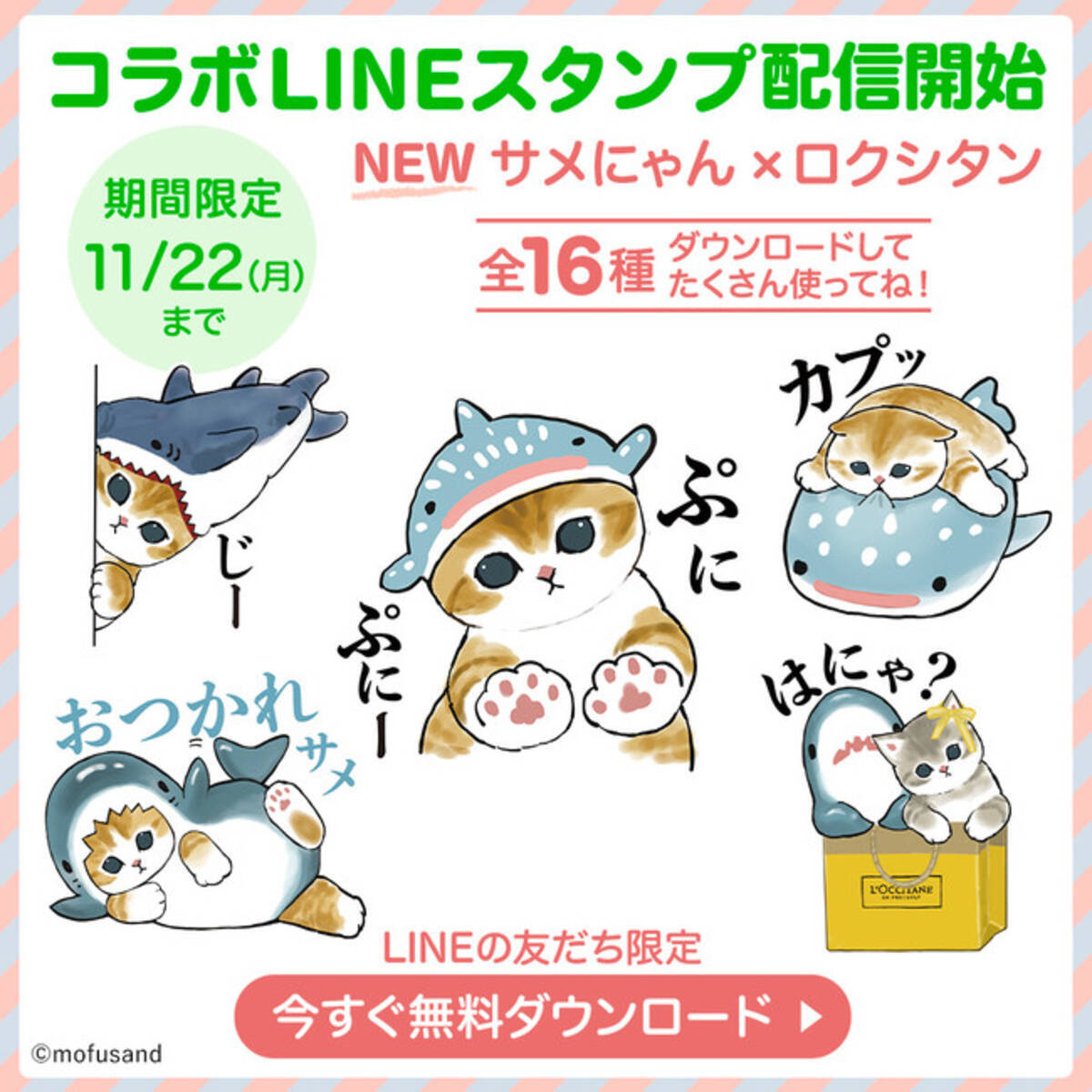 Lineスタンプ第17弾 サメにゃん ロクシタン Lineスタンプ配信開始 21年10月26日 エキサイトニュース