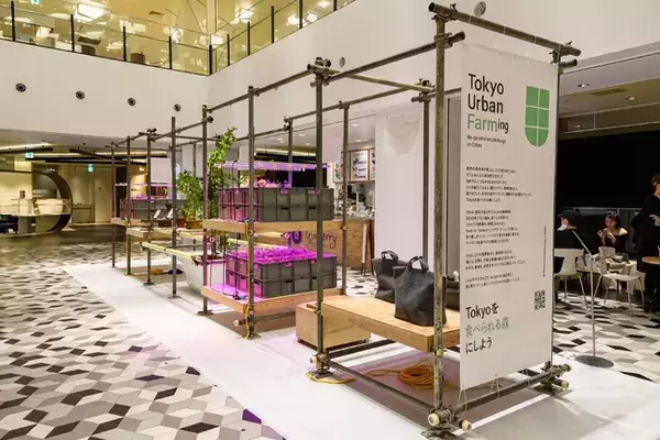 渋谷スクランブルスクエア初、全館を通じたサステナブルフェア「SHIBUYA SCRAMBLE SQUARE 2nd Anniversary（セカンドアニバーサリー）」10月28日（木）よりスタート！