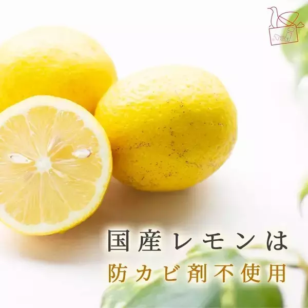 定期便で日本の食料自給率アップを応援！自給率10％前後の国産レモンのネット販売をスタート。