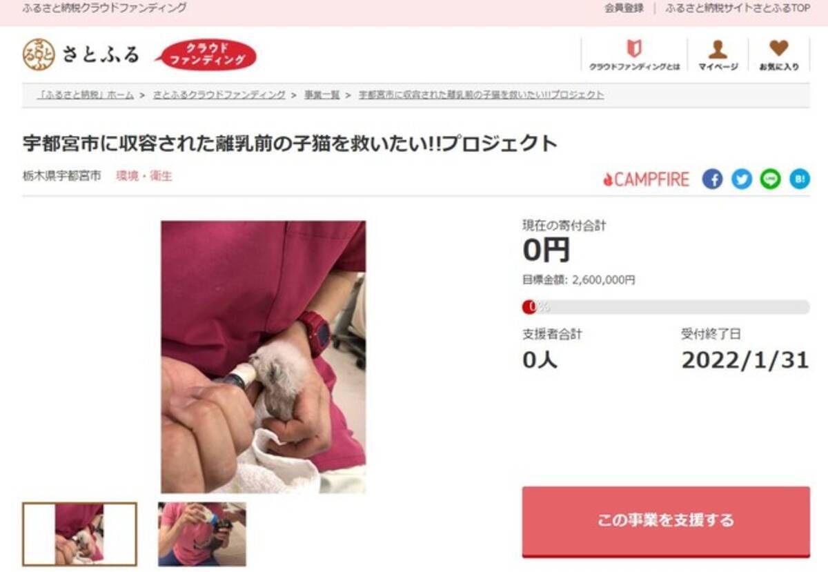 栃木県宇都宮市とさとふる 猫の殺処分ゼロを目指し離乳前の子猫を新たな飼い主への譲渡につなげるため寄付受け付けを開始 2021年11月1日 エキサイトニュース