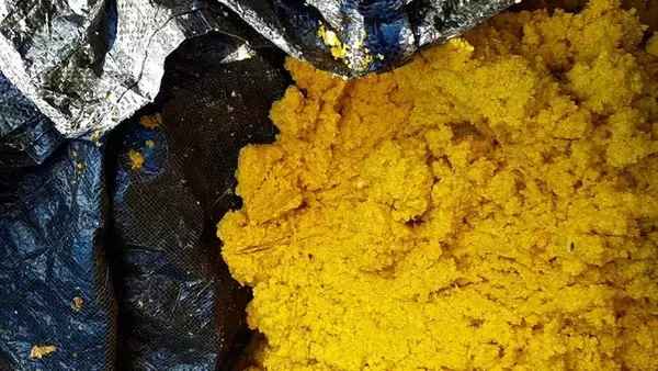 【フードロス削減に貢献】規格外野菜を活用し、丸ごと粉砕した「ベジタブルパウダー」をCAMPFIREにて販売開始