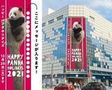 「あなたのメッセージが松坂屋上野店の垂れ幕に！上野動物園のパンダへのメッセージを募集」の画像1