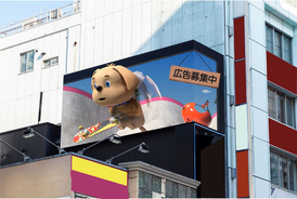 3D犬「ハビウルくん」のお家（LEDビジョン）を渋谷宇田川町「ハビウル渋谷」に納品しました