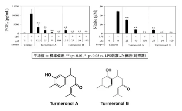 ターメリックエキスの抗炎症作用を発見-11月20日 第28回日本未病学会学術総会にて発表-