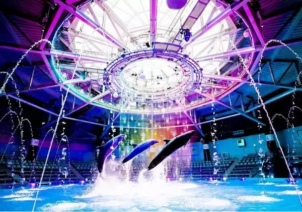 【マクセル アクアパーク品川】水族館と映画館のセット利用がお得になる、毎月１日だけのスペシャルプランがスタート！「海の世界」と「映画作品」の世界観に浸る、“非日常”を満喫いただけます。