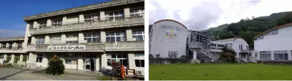 徳島県美馬市で製造した食用コオロギパウダー使用の食品が、市の名産品としてふるさと納税に登録