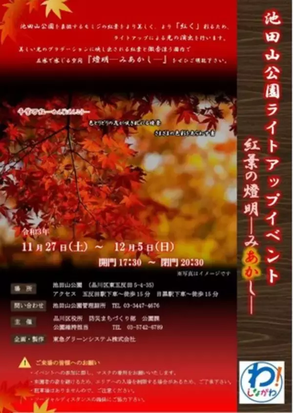 品川区池田山公園でライトアップイベント「紅葉の燈明-みあかし-」開催