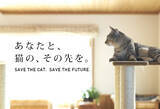 「飼い主と愛猫の幸福のためのP2P互助「ねこふく」。ネコリパブリックの高齢者も安心して猫と暮らせる新サービスが2021年12月1日よりスタート！」の画像1