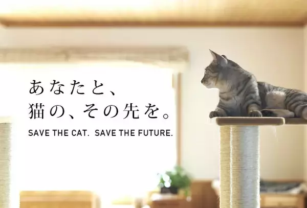 飼い主と愛猫の幸福のためのP2P互助「ねこふく」。ネコリパブリックの高齢者も安心して猫と暮らせる新サービスが2021年12月1日よりスタート！