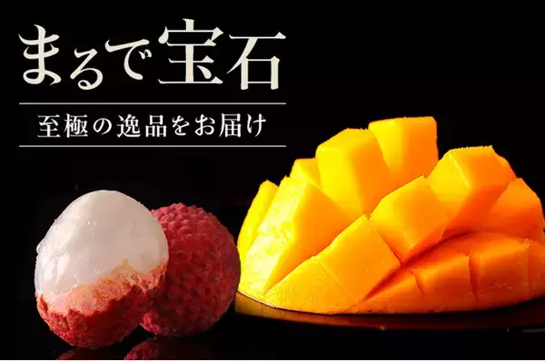 ふるさと納税サイト「ふるさとチョイス」、自治体特別PR枠で宮崎県新富町のイチオシ特集が掲載開始。希少フルーツから便利な小分け肉まで人気返礼品が勢揃い